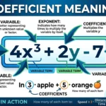 coefficient meaning