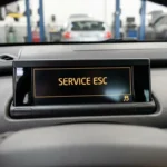 service esc meaning